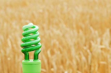 Image showing green eco bulb over field with golden harvest