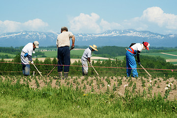 Image showing Farmers in Japan.