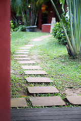 Image showing tropical Garden