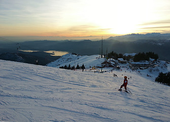 Image showing Young Skier going down the slope at Monterone Alps Italy