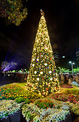 Image showing Christmas Tree at St Mary's Cathedral Sydney