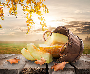 Image showing Melon and landscape