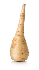 Image showing Parsley root