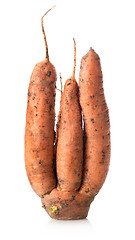 Image showing Figured carrot