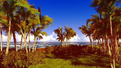 Image showing beautiful shore