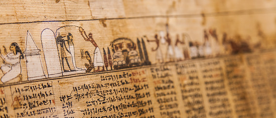 Image showing Book of the Dead