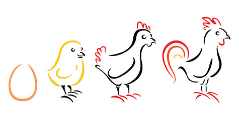 Image showing Chicken farm