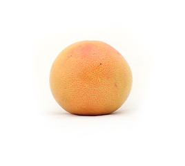 Image showing Grapefruit