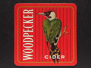 Image showing Beermat drink coaster