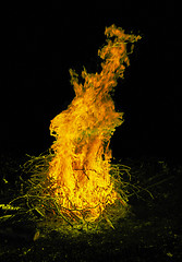 Image showing Burning fire