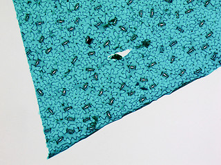 Image showing Stoma micrograph