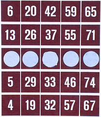 Image showing Red bingo card isolated