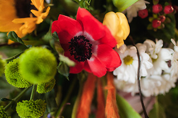 Image showing Holiday bouquet made of wild flowers