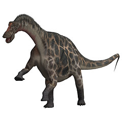 Image showing Dinosaur Dicraeosaurus