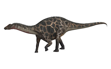 Image showing Dinosaur Dicraeosaurus