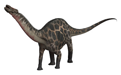 Image showing Dinosaur Dicraeosaurus