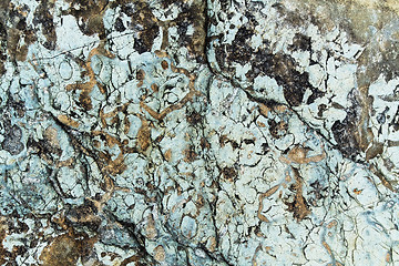 Image showing Rock texture