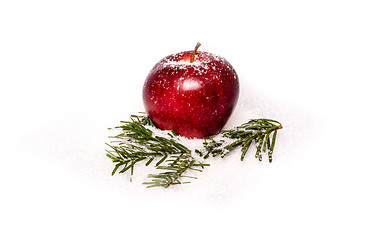 Image showing Red apple with fir branches in snow