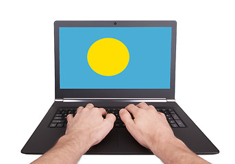 Image showing Hands working on laptop, Palau