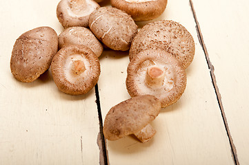 Image showing shiitake mushrooms