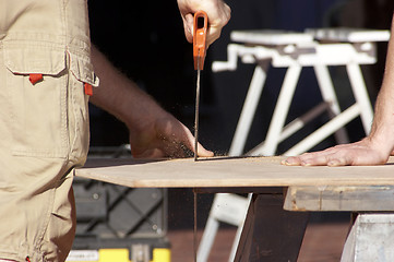 Image showing Sawing Wood