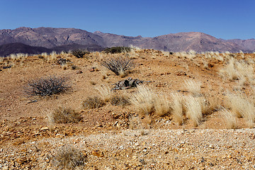 Image showing fantrastic Namibia desert landscape