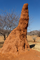 Image showing Huge red termite mound in Africa