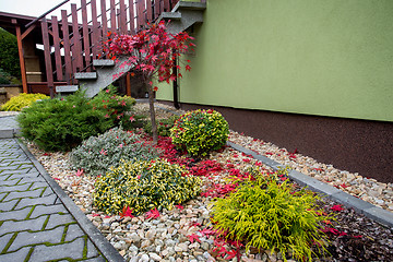 Image showing autumn colors composition in home garden