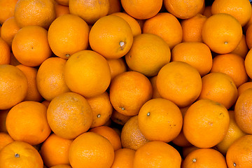 Image showing Group of oranges - background