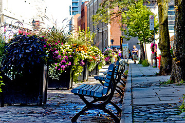 Image showing Quiet city street benches - filter applied