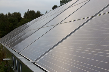 Image showing Solar energy panels in a farmer's field