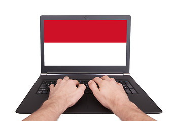 Image showing Hands working on laptop, Monaco