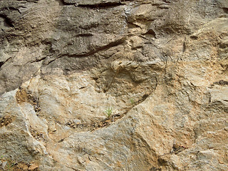 Image showing rock detail