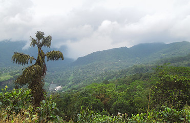 Image showing mountain scenery in Sri Lanka