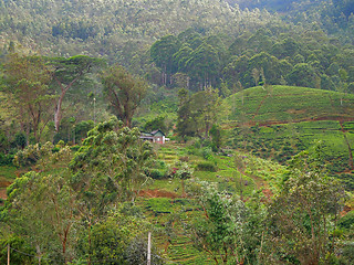 Image showing mountain scenery in Sri Lanka