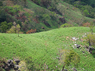 Image showing mountain scenery in Sri Lanka