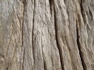 Image showing weathered wooden surface