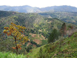 Image showing mountain scenery in Sri Lanka