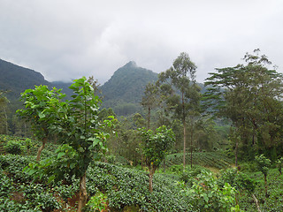 Image showing mountain scenery in Sri Lanka