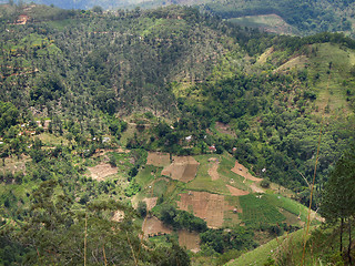 Image showing agricultural scenery in Sri Lanka