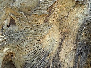 Image showing weathered wooden surface