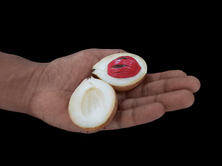 Image showing opened nutmeg fruit