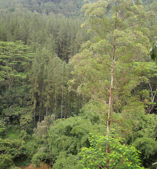 Image showing mountain scenery in Sri Lanka