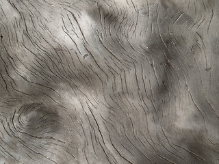Image showing burl wood surface