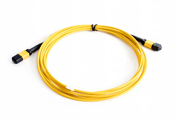 Image showing Ribbon fiber optic patchcord with connector MTP