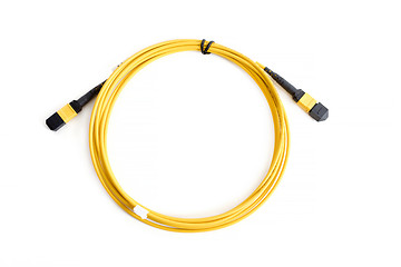 Image showing Ribbon fiber optic patchcord with connector MTP