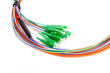 Image showing Ribbon fiber optic fun out patchcord with connector MTP