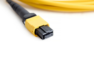 Image showing Ribbon fiber optic patchcord with connector MTP