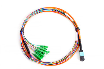 Image showing Ribbon fiber optic fun out patchcord with connector MTP