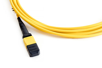 Image showing Ribbon fiber optic patchcord with connector MTP